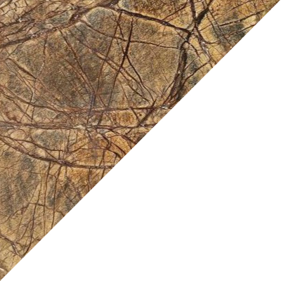 Rain Forest Brown (Stein außen) / Verkehrsweiß (RAL 9016 innen)