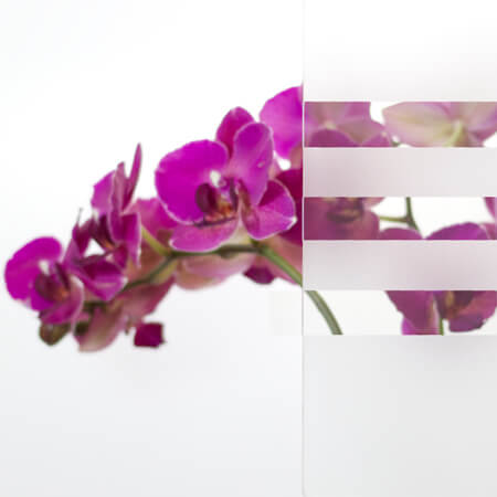 Haustüren Milchglas mit Klarglasstreifen