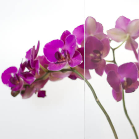 Nebeneingangstüren mit Klarglas