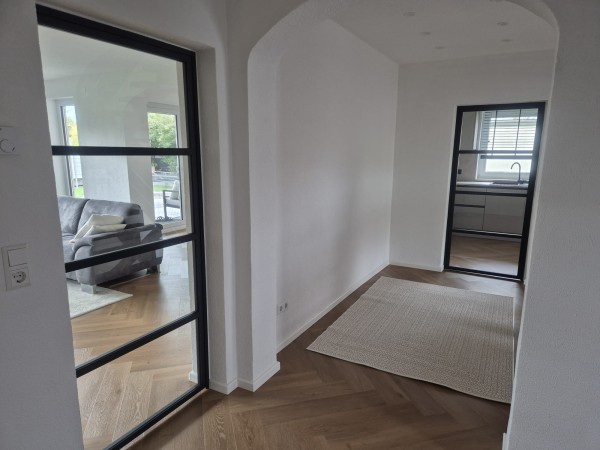 alu_lofttuer_anthrazit-3